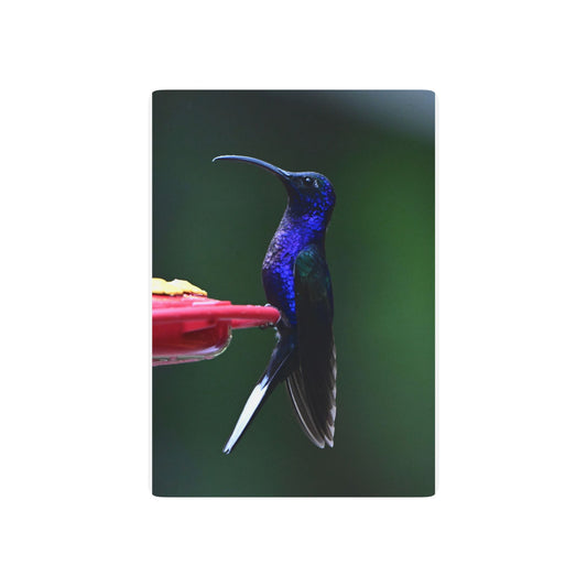 Hummingbird Poker Playing Cards — Artistic Spade Ace Deck for Game Nights & Gifts