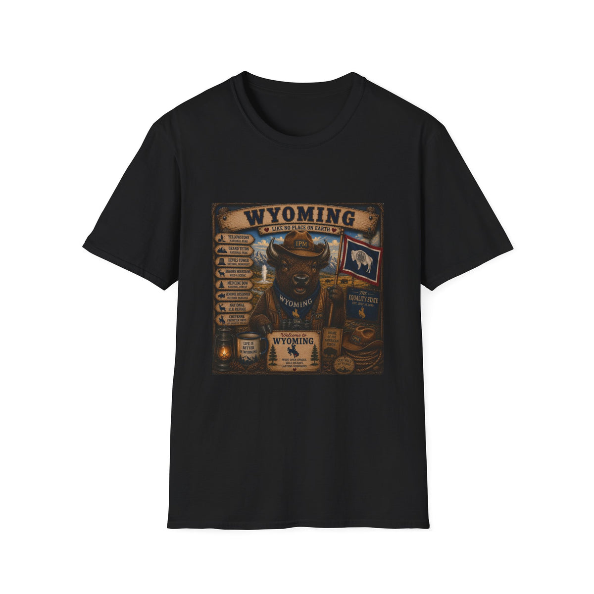 Wyoming Buffalo Vintage Graphic T‑Shirt — 'Wyoming: Like No Place on Earth' State Pride