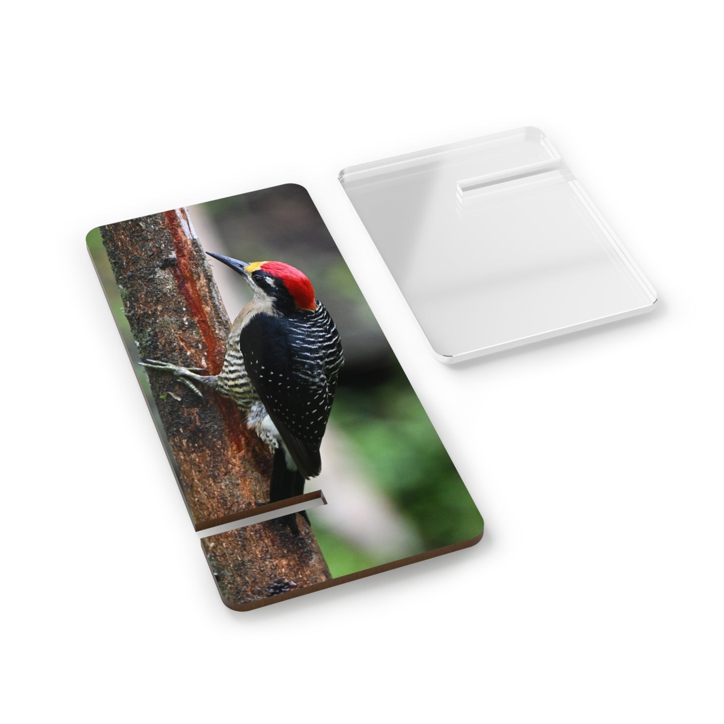 Woodpecker Phone Stand — Clear Acrylic Smartphone Display Stand with Forest Bird Photo