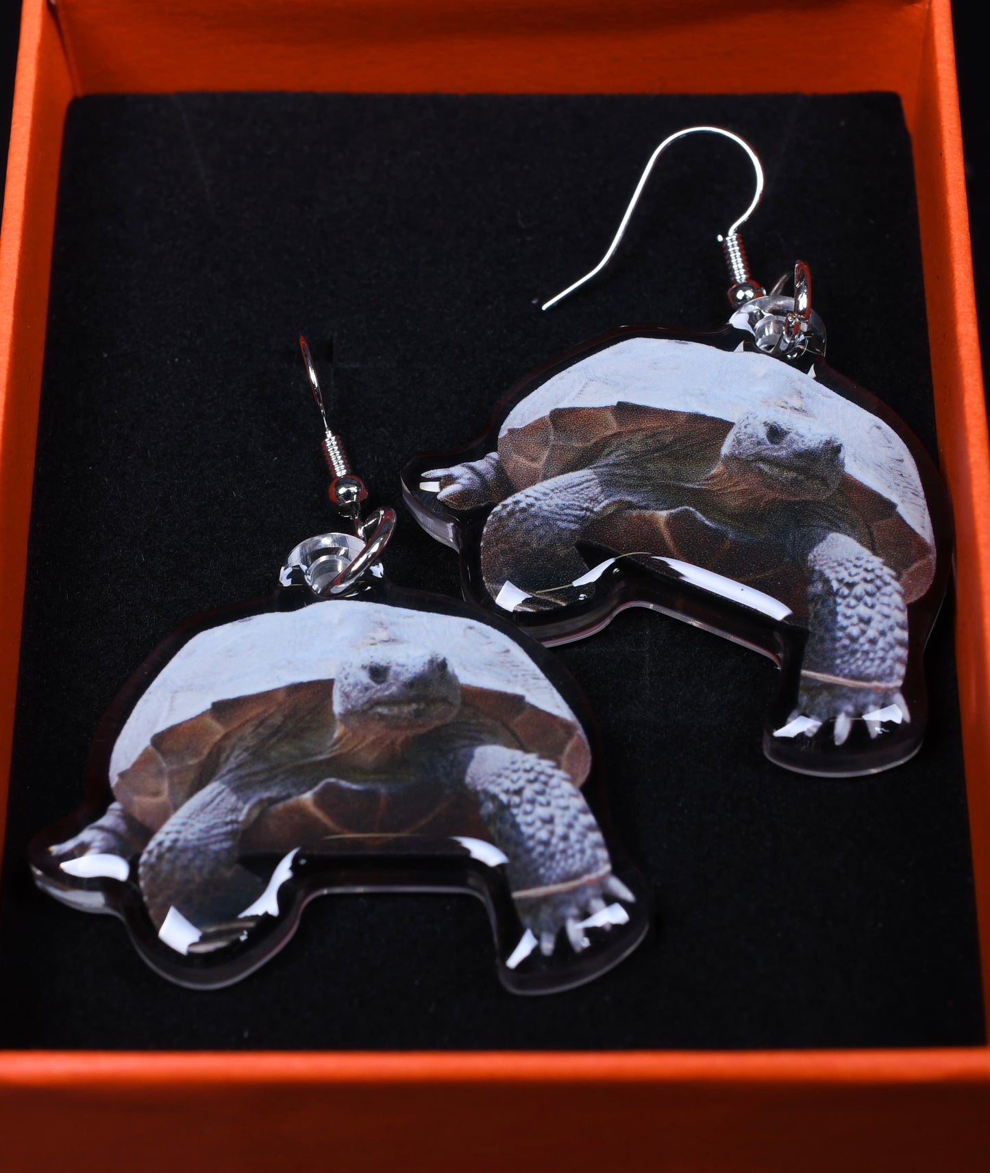 Custom Photo Turtle Earrings