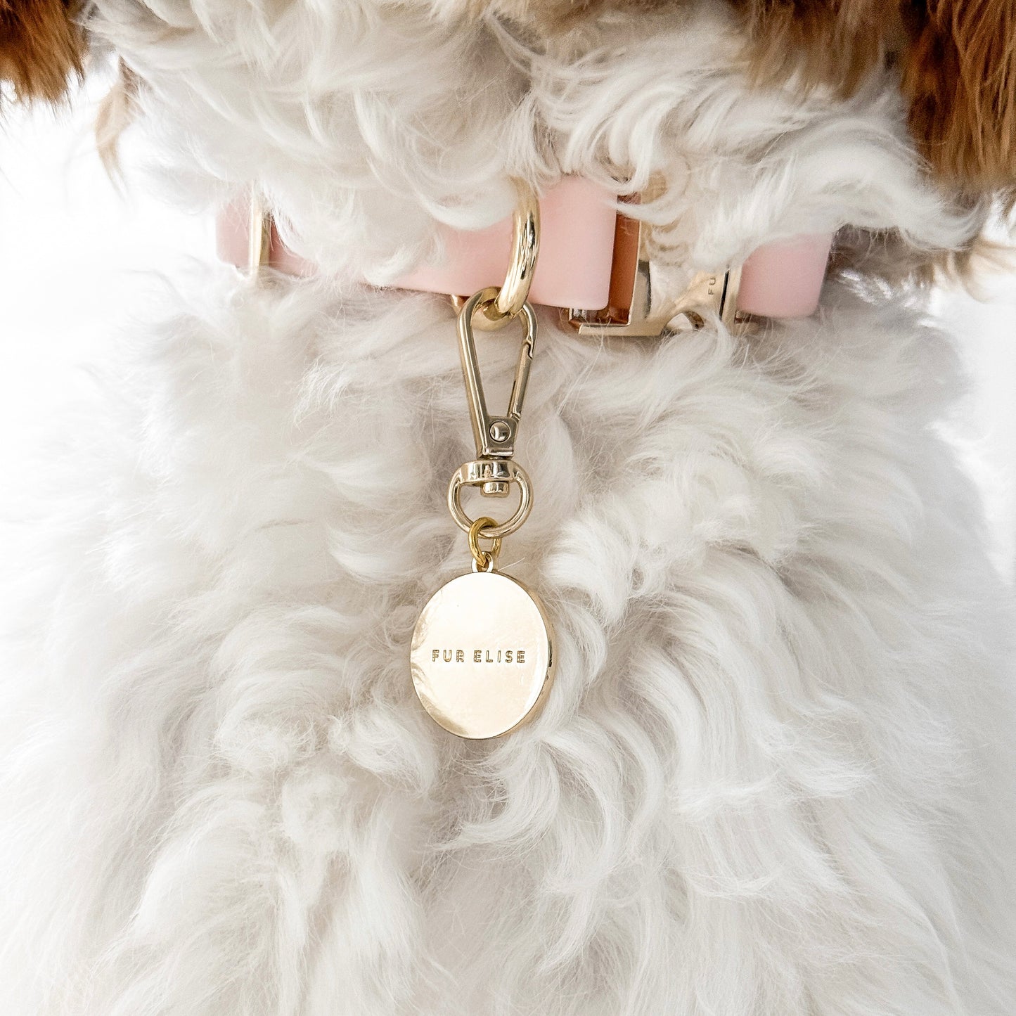 Classic Logo Charm