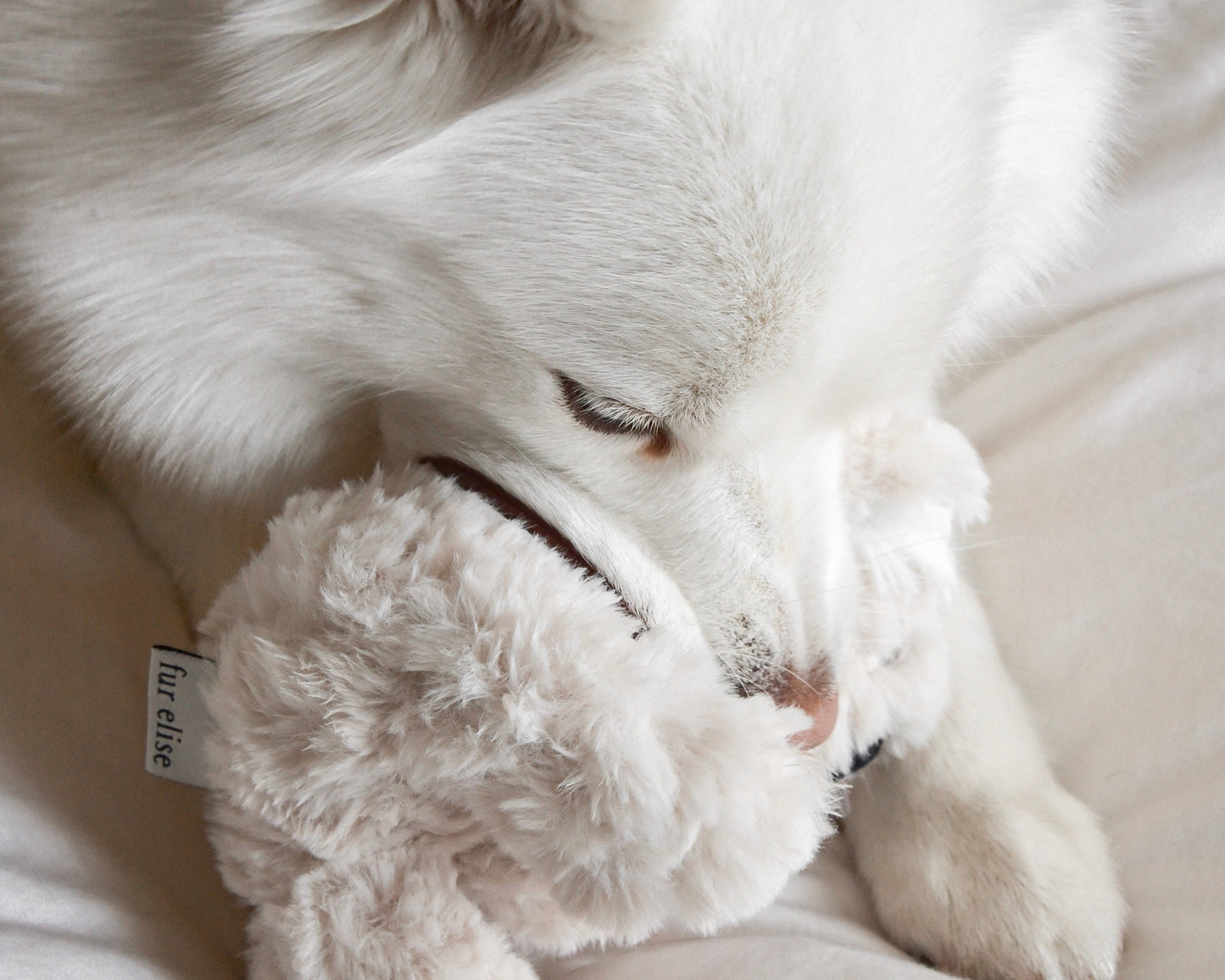 Koko Mini Plushie